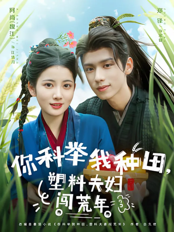 你科举我种田塑料夫妇闯荒年海报