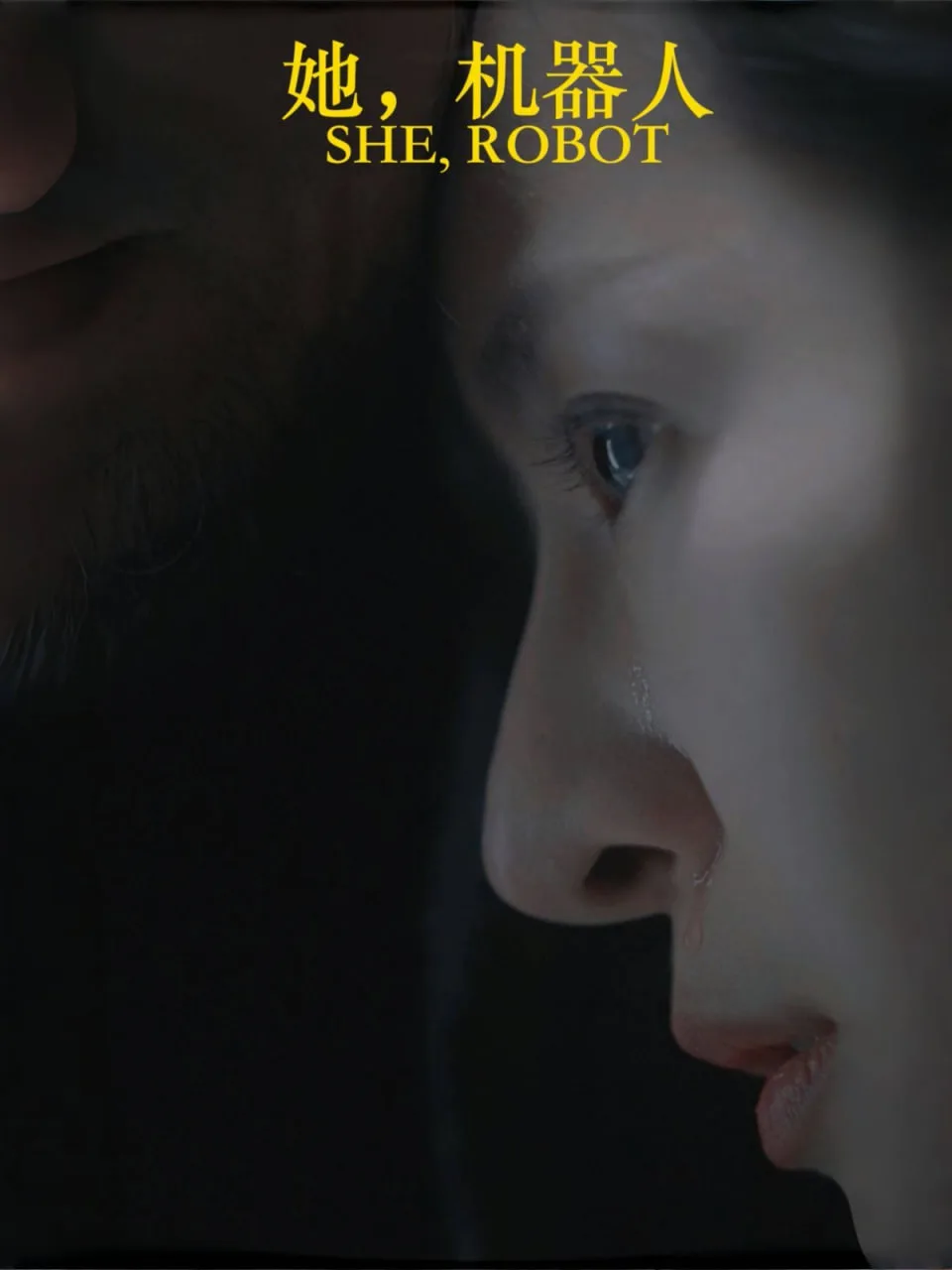 她，机器人海报