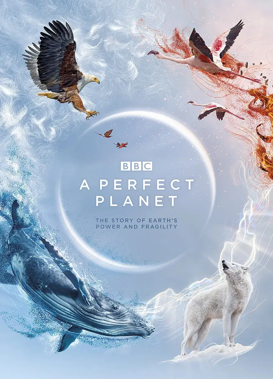 完美星球海报