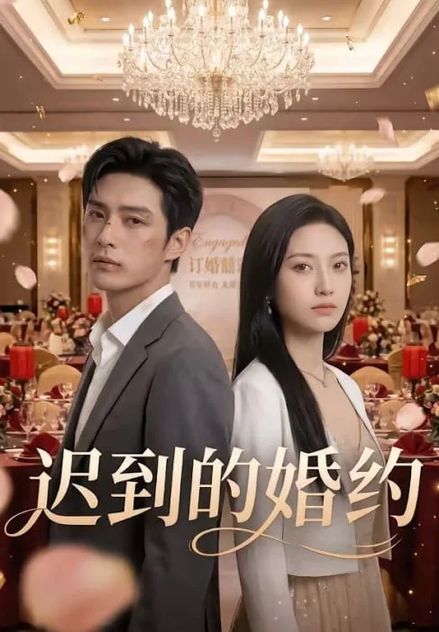迟到的婚约海报