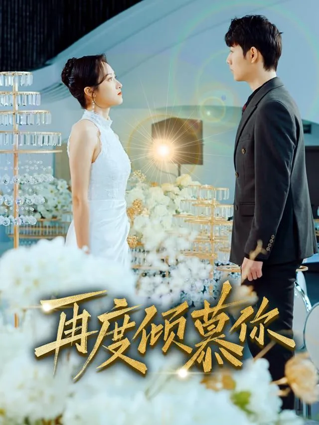 再度倾慕你海报