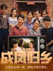女总裁成凤归乡海报