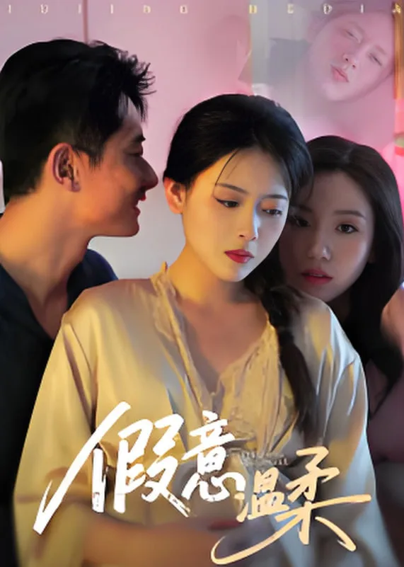 假意温柔海报