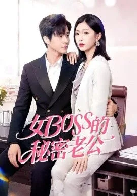 女Boss的秘密老公海报