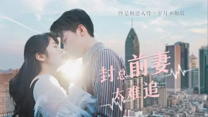 封总前妻太难追海报