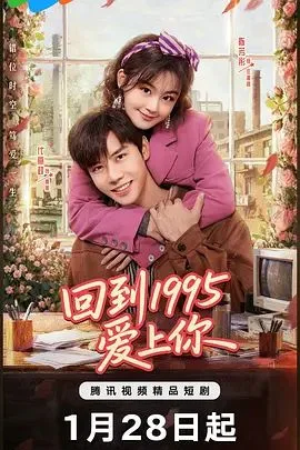 回到1995爱上你海报