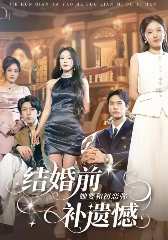结婚前她要和初恋弥补遗憾.海报
