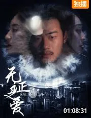 无证之爱海报