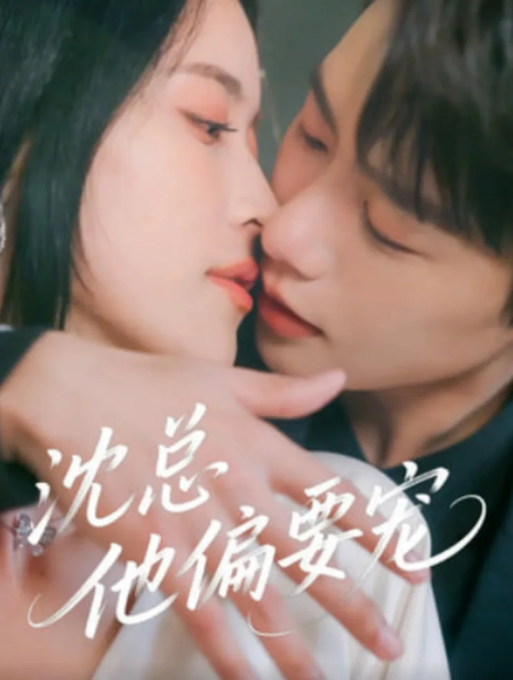 沈总他偏要宠海报