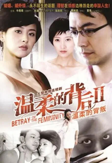 温柔的背叛海报
