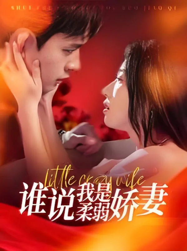 谁说我是柔弱娇妻海报