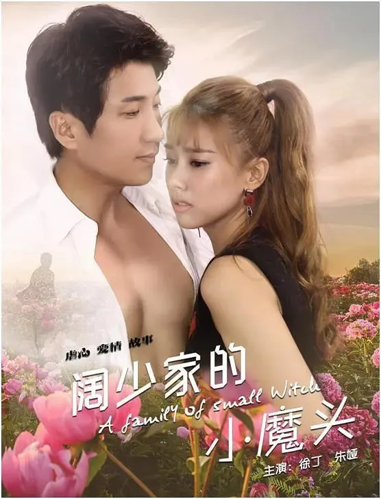 阔少家的小魔头海报