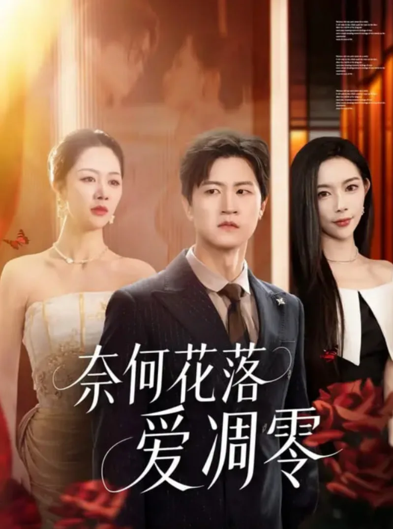 奈何花落爱凋零海报