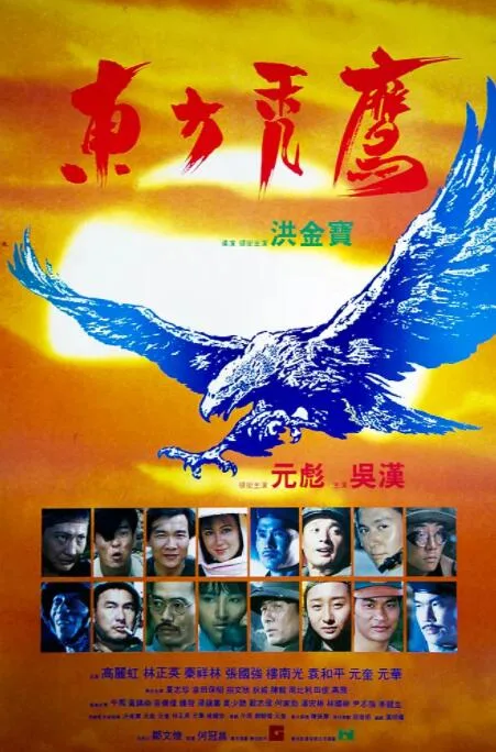 东方秃鹰海报