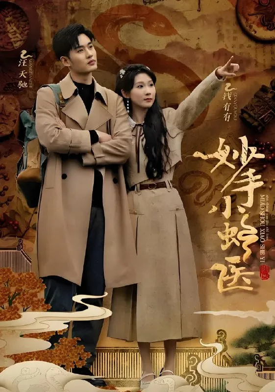 妙手小蛇医海报