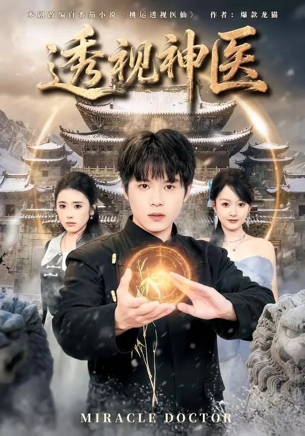 透视神医（2026）海报