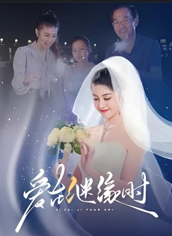 爱在继缘时海报