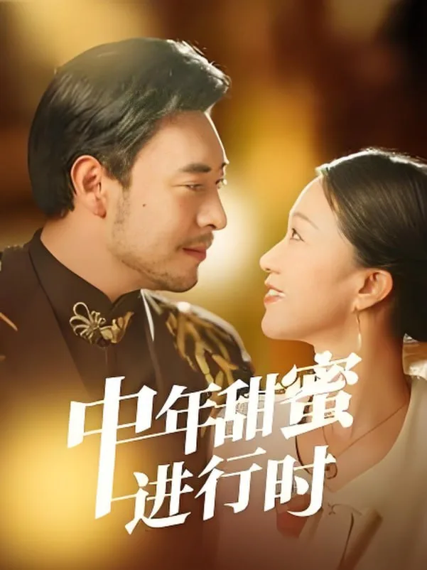 中年甜蜜进行时海报