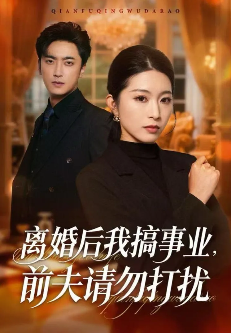离婚后我搞事业，前夫请勿打扰海报