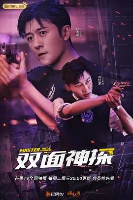 双面神探海报