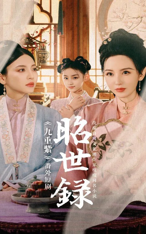 昭世录海报
