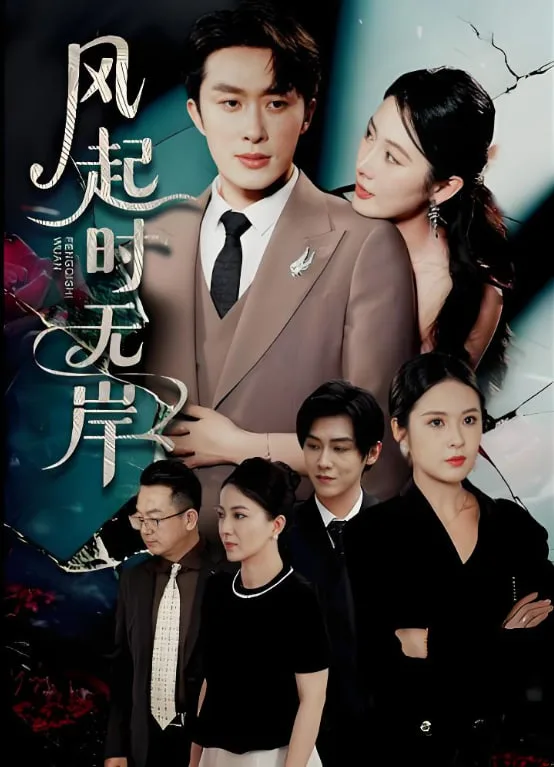 风起时无岸海报