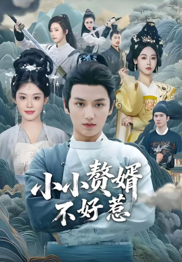 小小赘婿不好惹海报