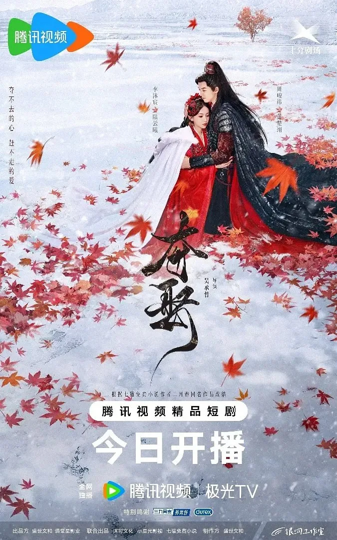 夺娶  2025海报
