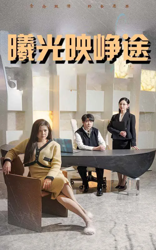 曦光映峥途（错把瓦砾当明珠）海报