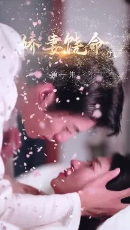 娇妻饶命海报