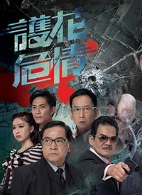 护花危情海报