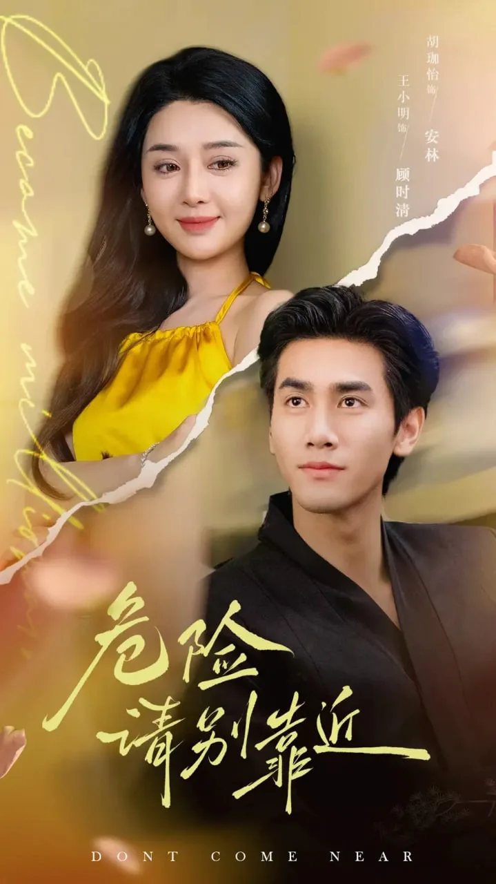 危险请别靠近我与往事归于尽海报