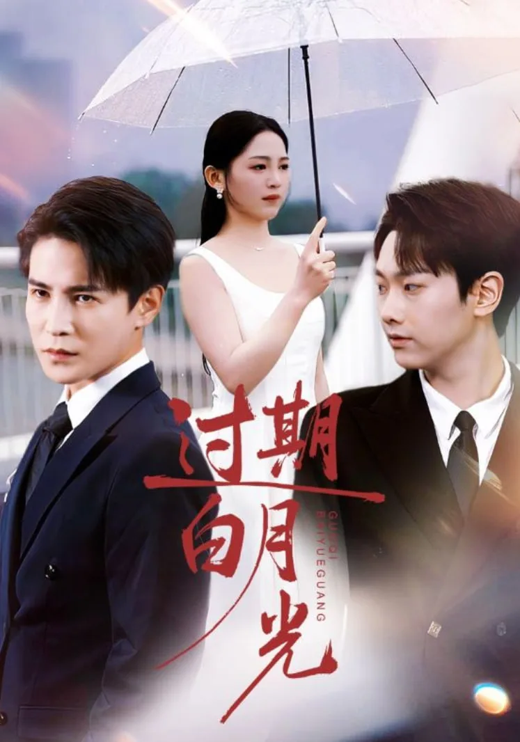 过期白月光海报