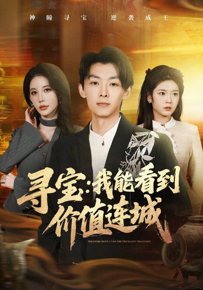 寻宝：我能看到价值连城海报
