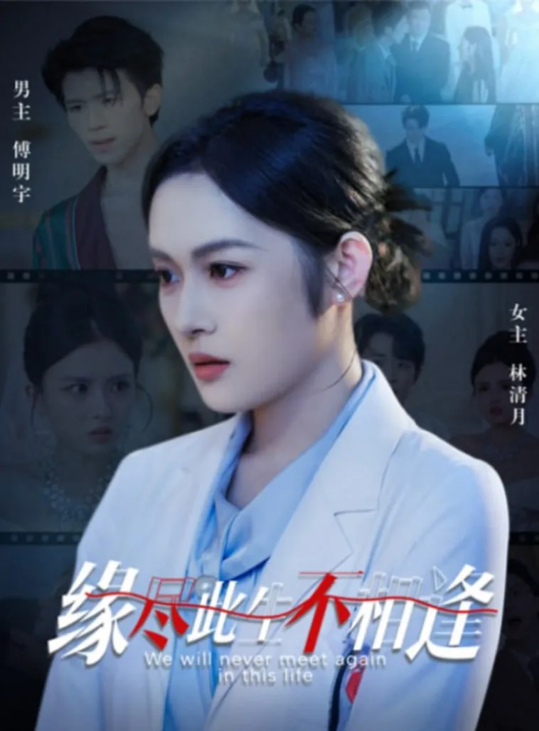 缘尽此生不相逢海报