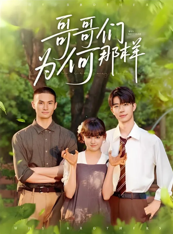 哥哥们为何对我那样海报