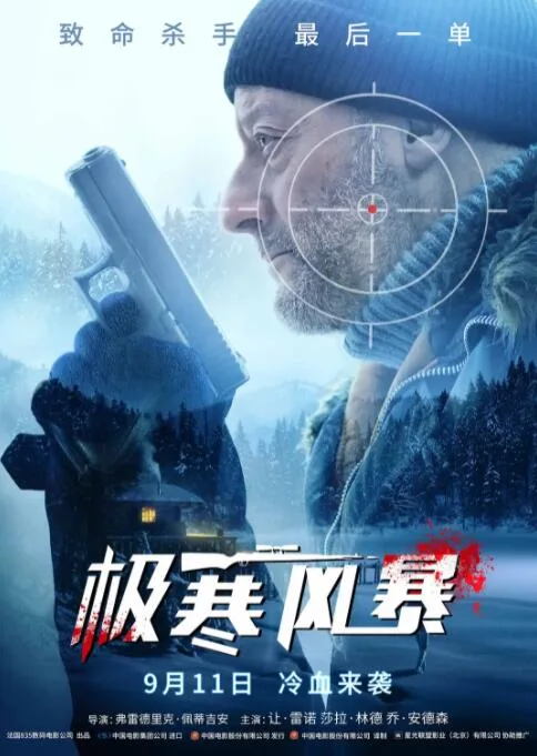 极寒风暴海报