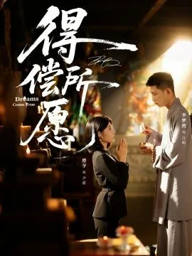 得偿所愿海报