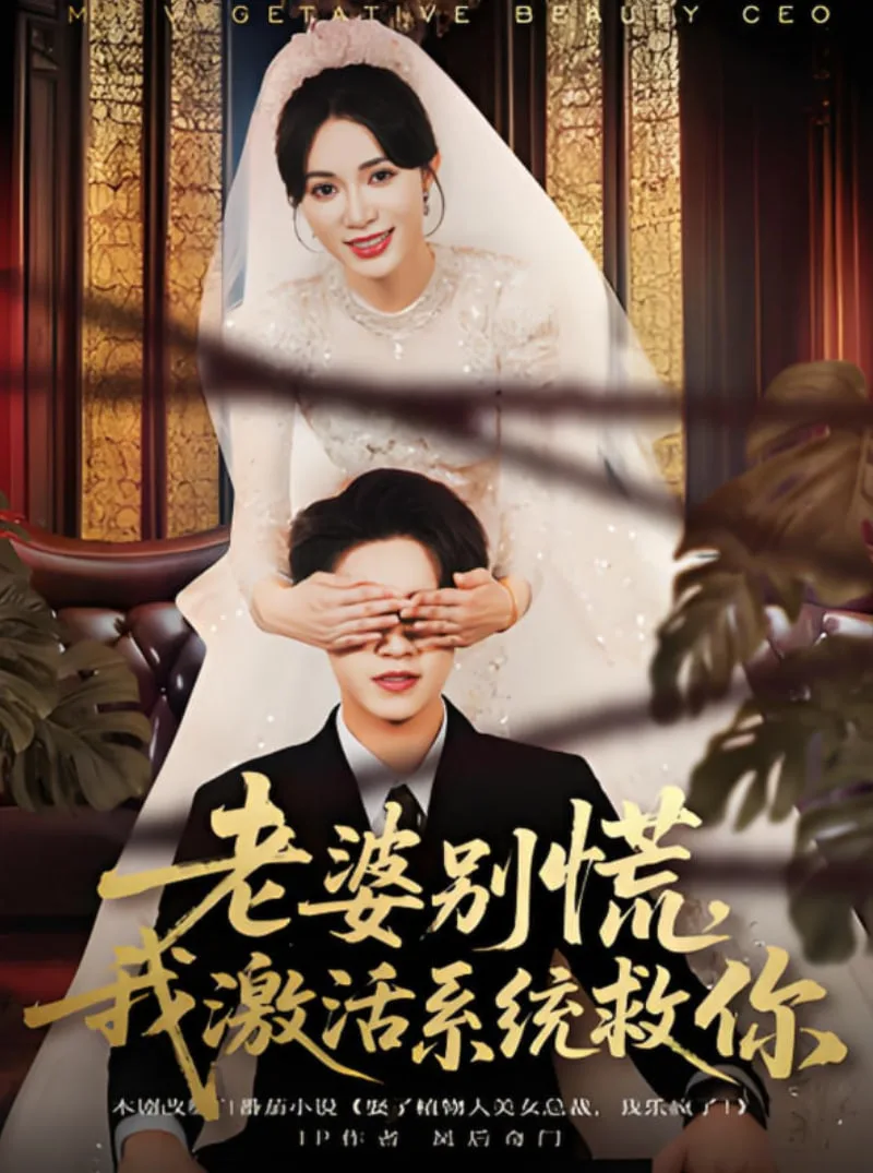 老婆别慌，我激活系统救你海报