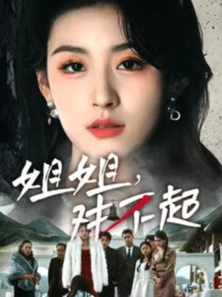 姐姐对不起海报