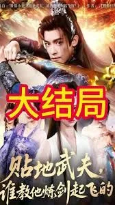 贴地武夫谁教他练剑起飞的海报