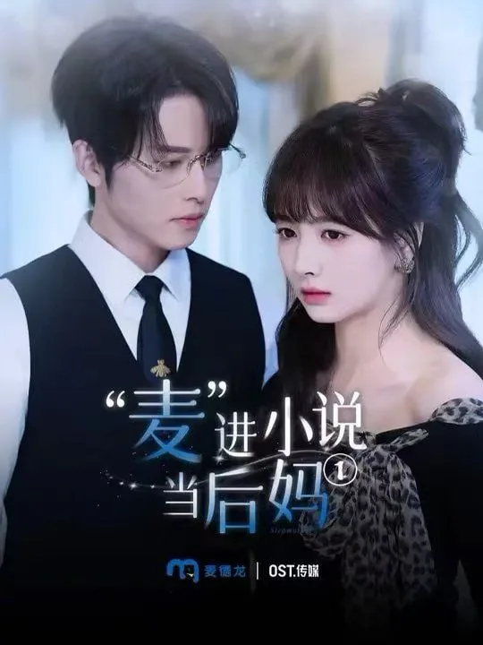麦进小说当后妈海报